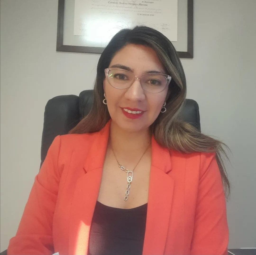 Profesor o profesora de Instituto PromundoChile
