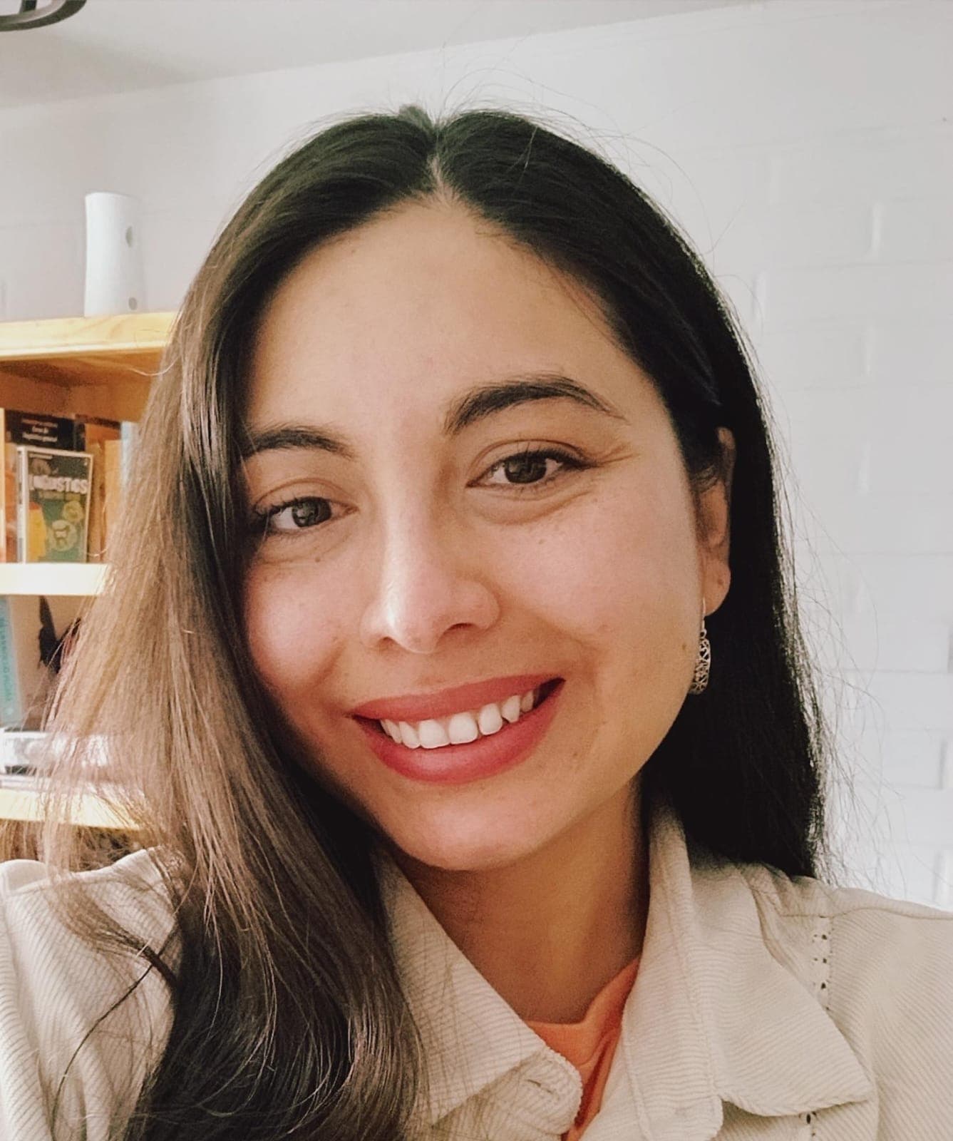 Profesor o profesora de Instituto PromundoChile